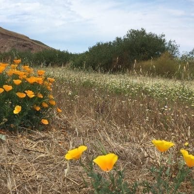 Surely the Lord is in This Place